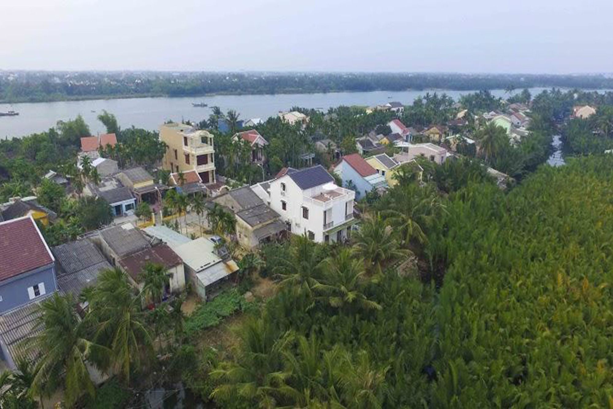 Coconut Garden Homestay Hoi An Dış mekan fotoğraf